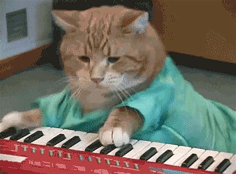 Cat Keyboard GIFs .